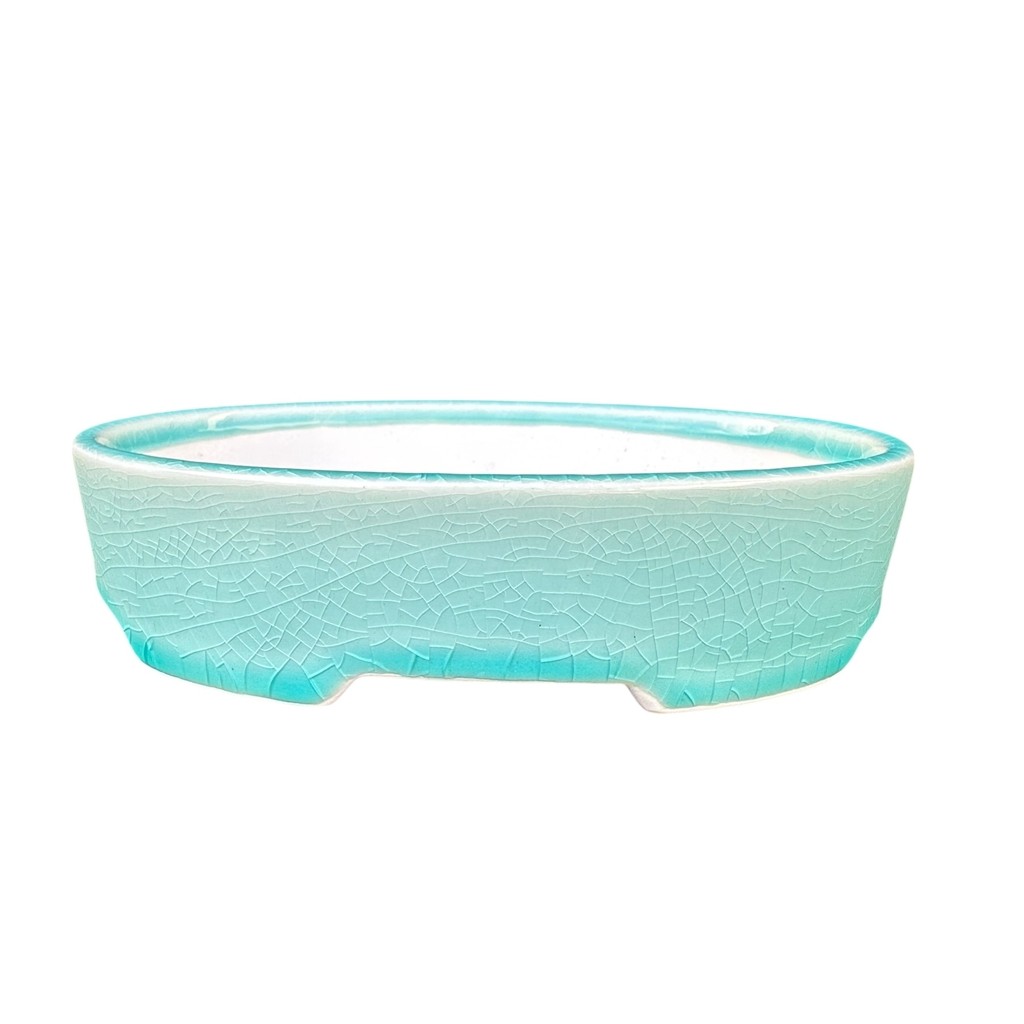 Vaso Oval para bonsai 15x10x3,8 de ceramica chines vasos yixing importado para suculentas plantas