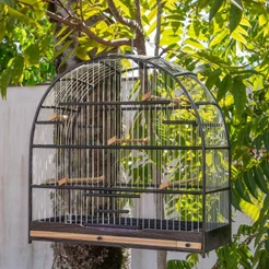 Gaiola Preta Para Pássaro Curió 5 Poleiros Em Madeira