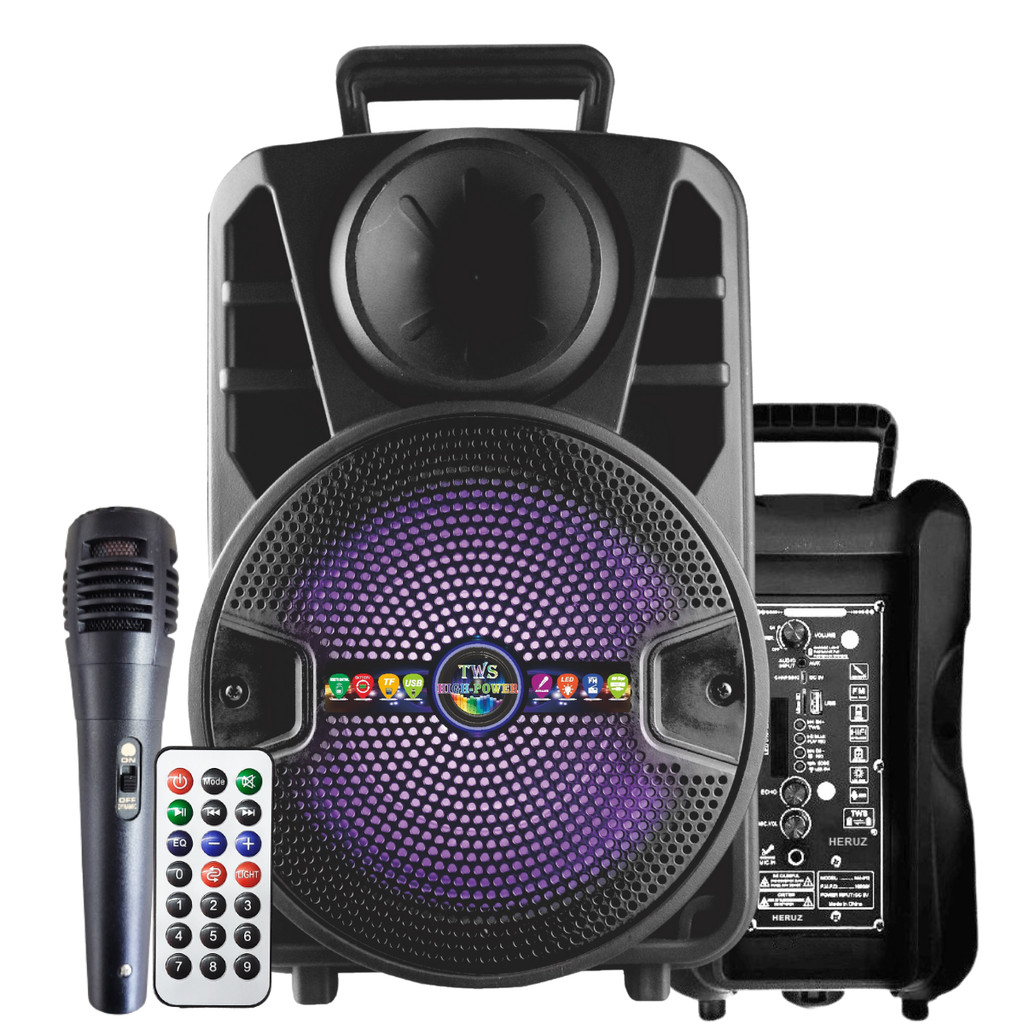 Caixa de Som com Microfone P10 1000W Grande Potencia Alto Portatil