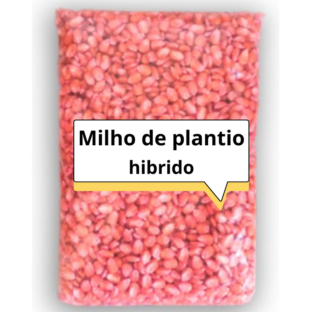 Semente Milho de Plantio 1kg Resistente a doenças