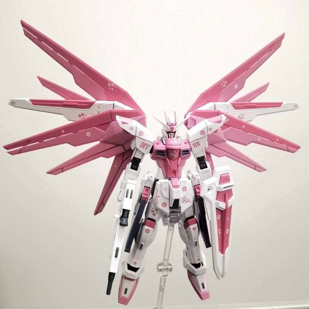 HG1/144 Sakura Pink Newborn Freedom Strike Freedom Modelo de Montagem para Presente
