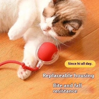 Inteligentes Brinquedos Para Gatos Bola De Rolamento Automática Cauda Falsa Recarregável …