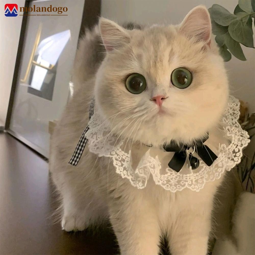 Mandogo Laço Bowknot Pérola Colar Gato Cão Neckerchief Pet Gatos Gatinho Filhote De Cachorro Corda Babador Gravata Pesco