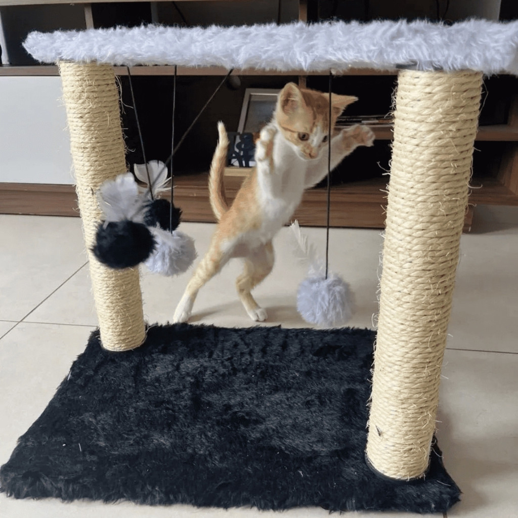 Arranhador Brinquedo Suspenso com Sisal – Gatos Ativos e Curiosos