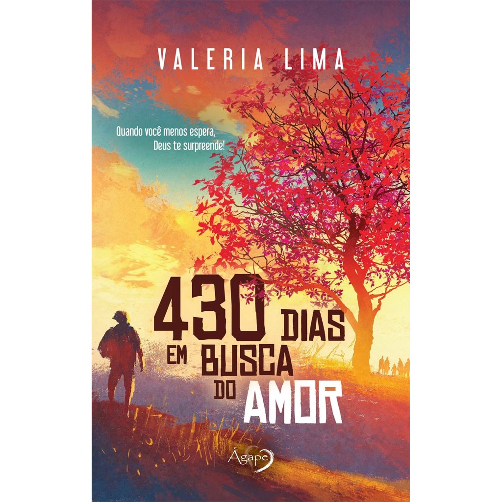 430 DIAS EM BUSCA DO AMOR Livros Bt