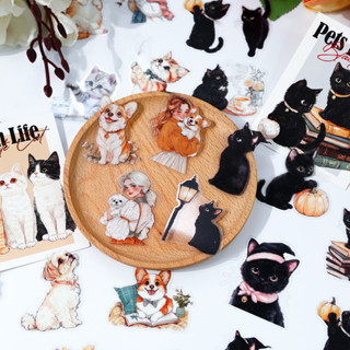 Journamm 40 Pçs Série De Vida De Animais De Estimação Adesivos Gato Dos Desenhos Animados Bonito Animal Decoração Para S em Oferta na Shopee