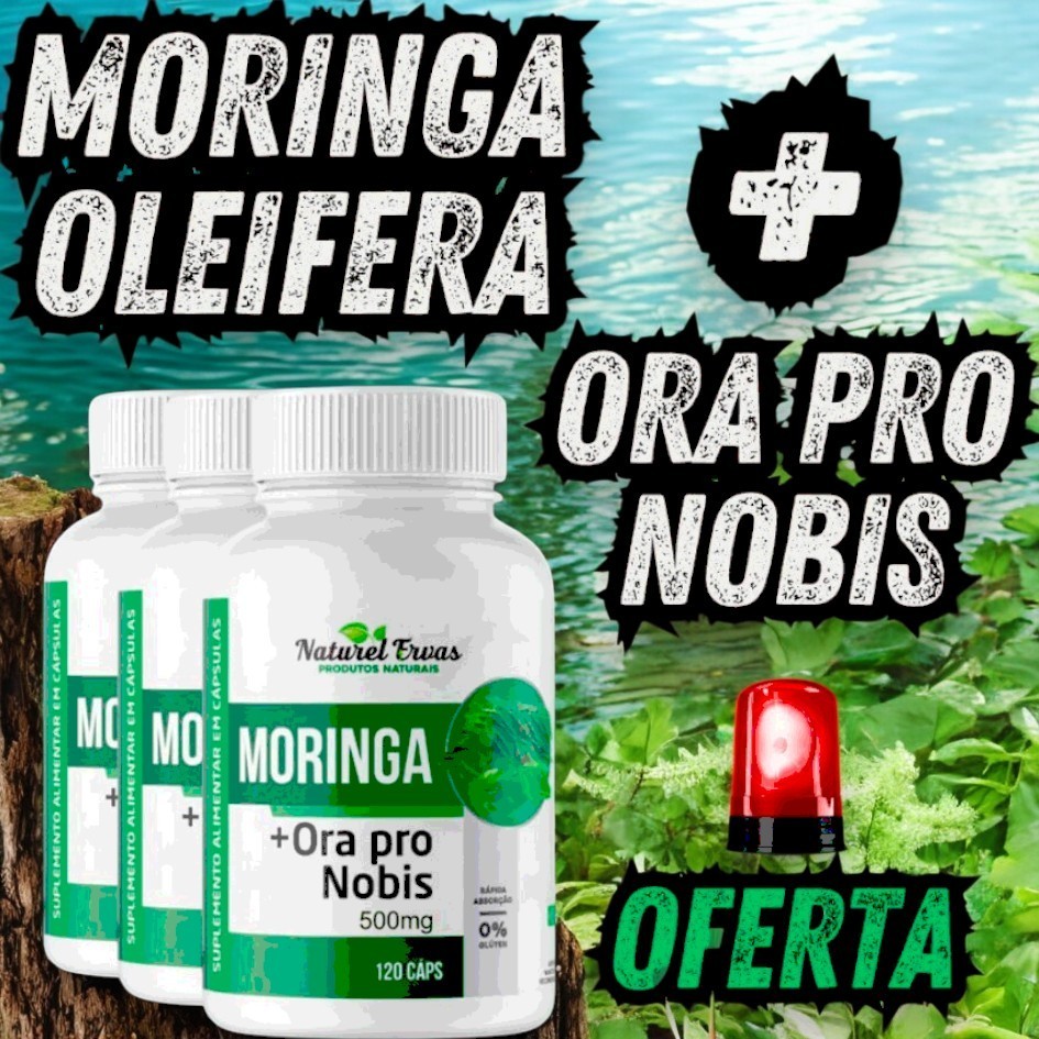 Moringa Oleifera Planta da vida e Proteina Vegana Naturais e Nutritivas.