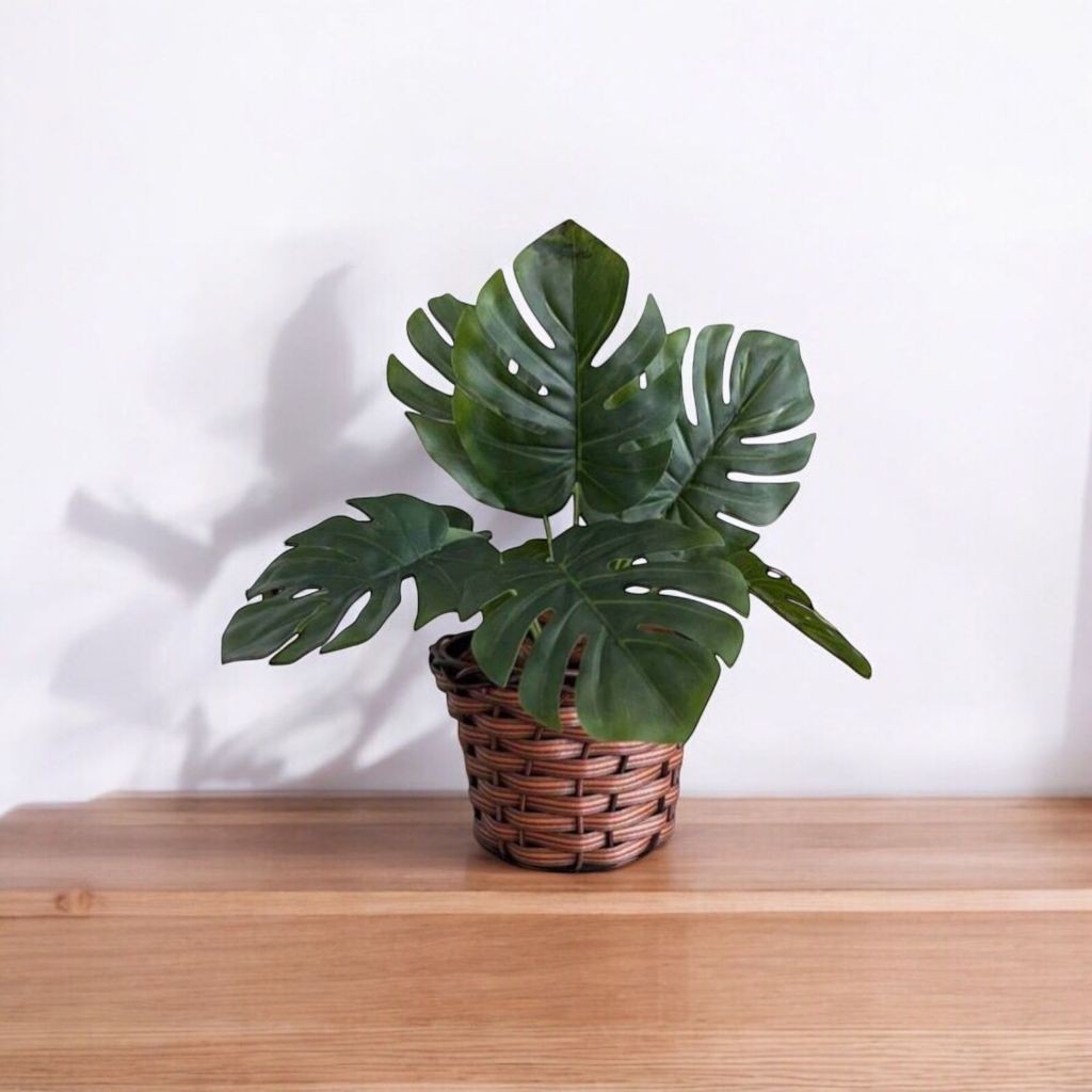 Kit Completo Vaso Trançado a Mão + Buque Costela de adão Arranjo Decorativo em Oferta na Shopee