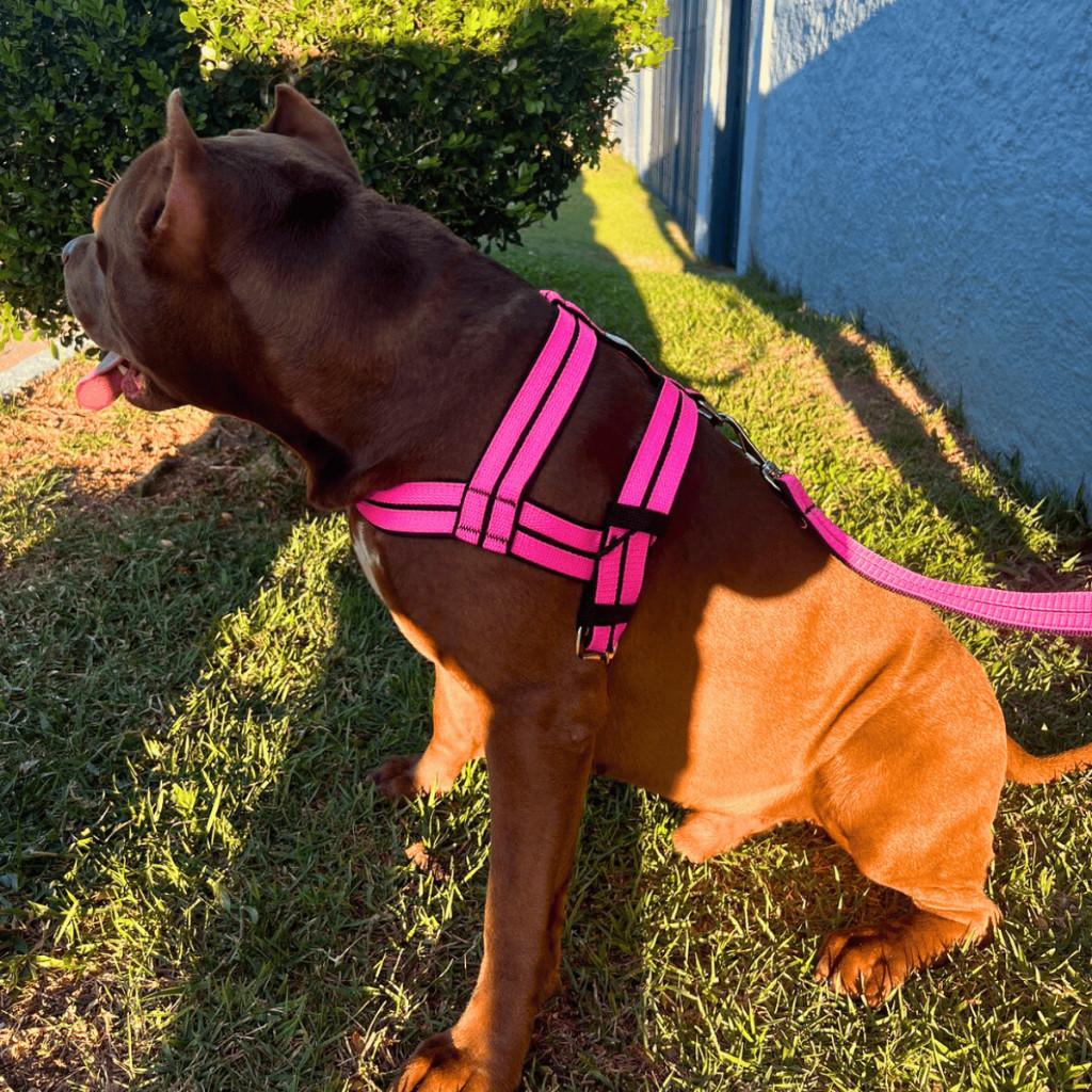Coleira Peitoral  com Guia Super Reforçada Para Cachorro Grande e Médio Porte Passeio Dogvix