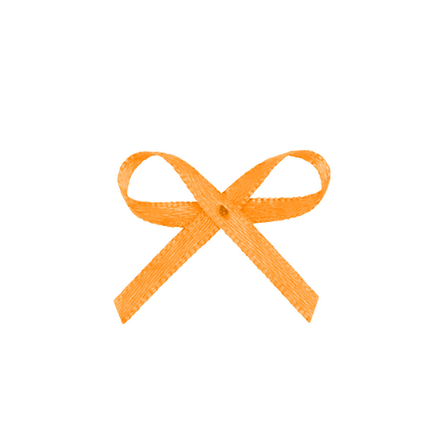 Lacinho Laranja Tipo Mosquitinho - Pct c/ 100 peças - Laços Marcela - Rizzo em Oferta na Shopee