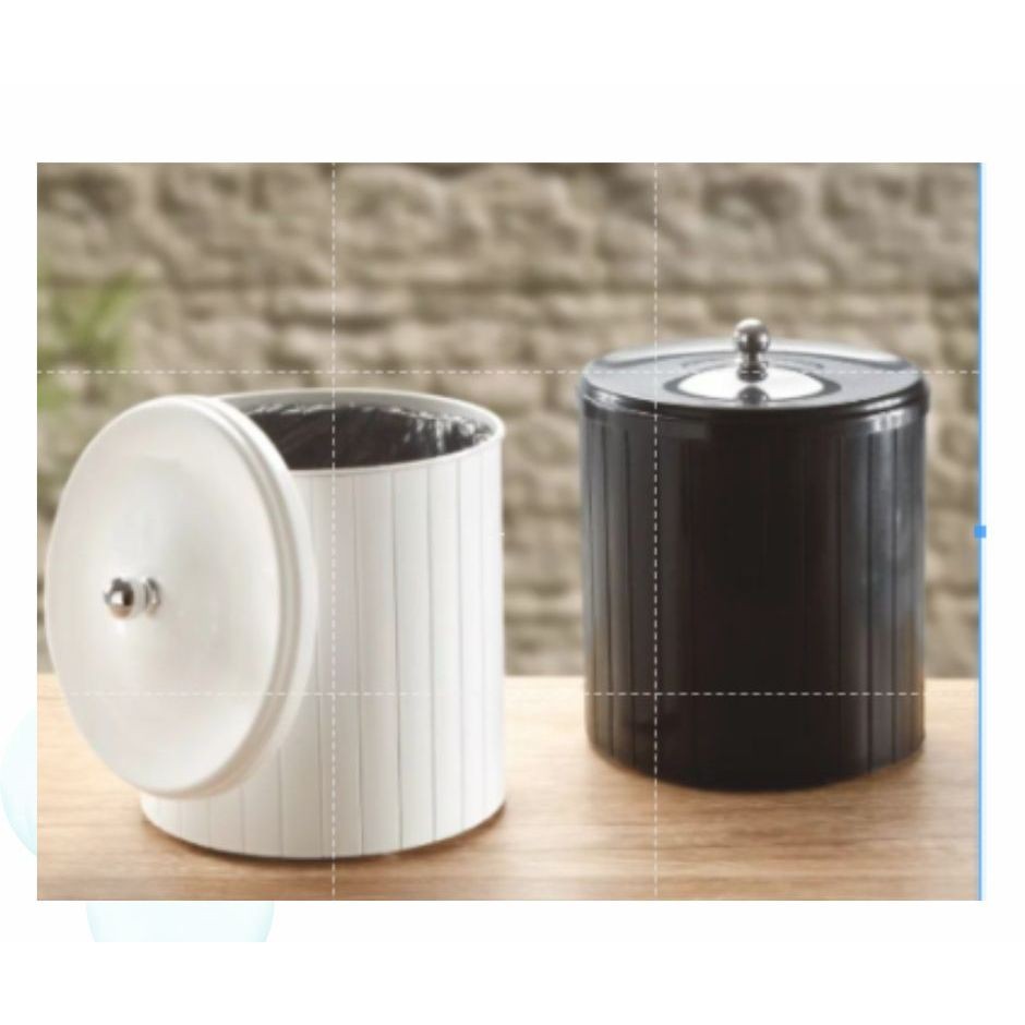 Cesto Lixeira Clean C/ ARO P SEGURAR SACOS 5 Litros