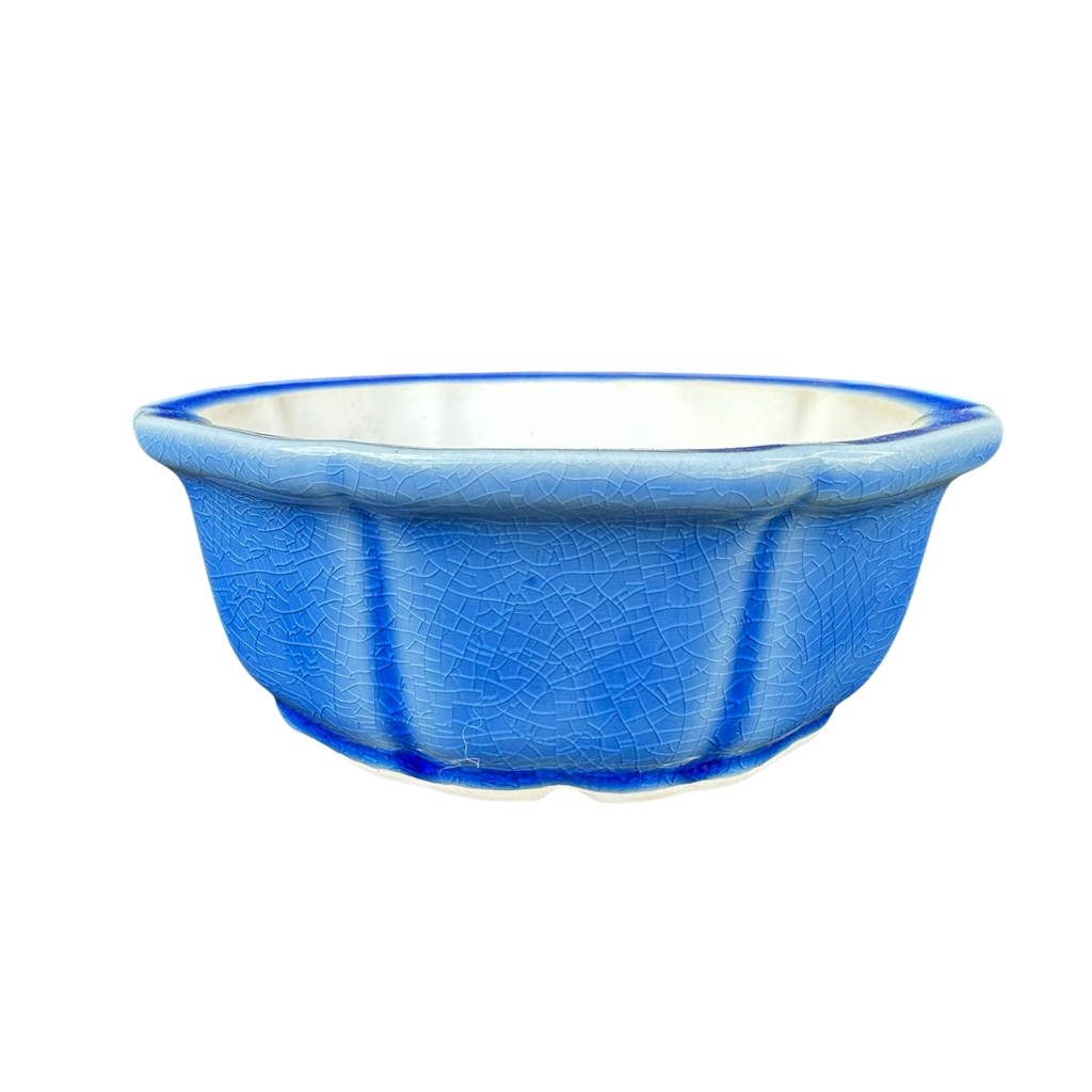 Vaso de ceramica redondo chines para bonsai 13,3x5 vasos yixing importado para plantas suculentas