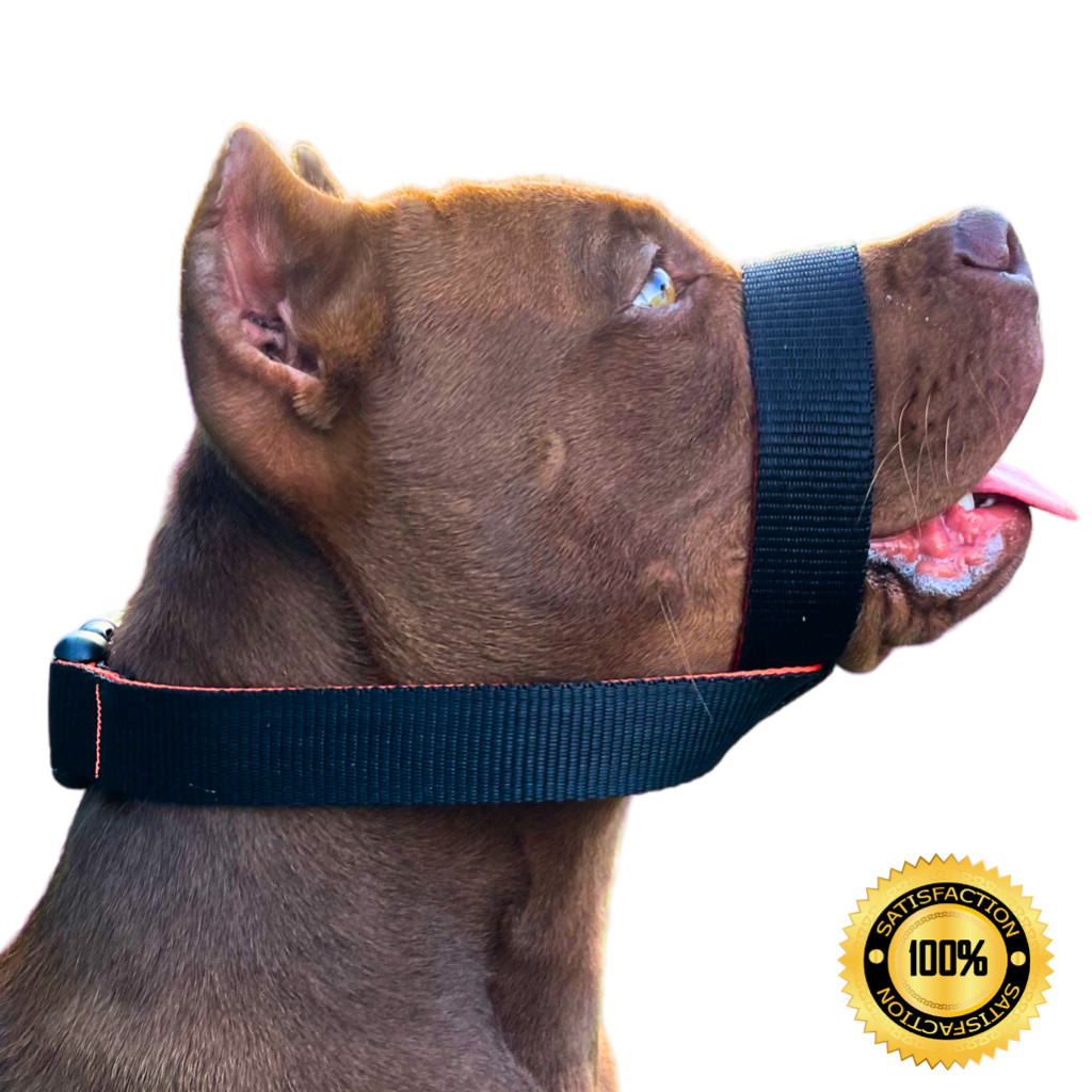 Focinheira Pratica e Segura Para Cachorro Super Ajustável e Confortável - Original