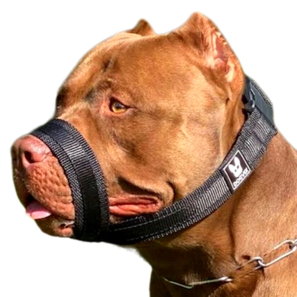Focinheira Ajustável Anti-Mordida Respirável Confortável Macia Para Cachorro Grande e Médio Porte