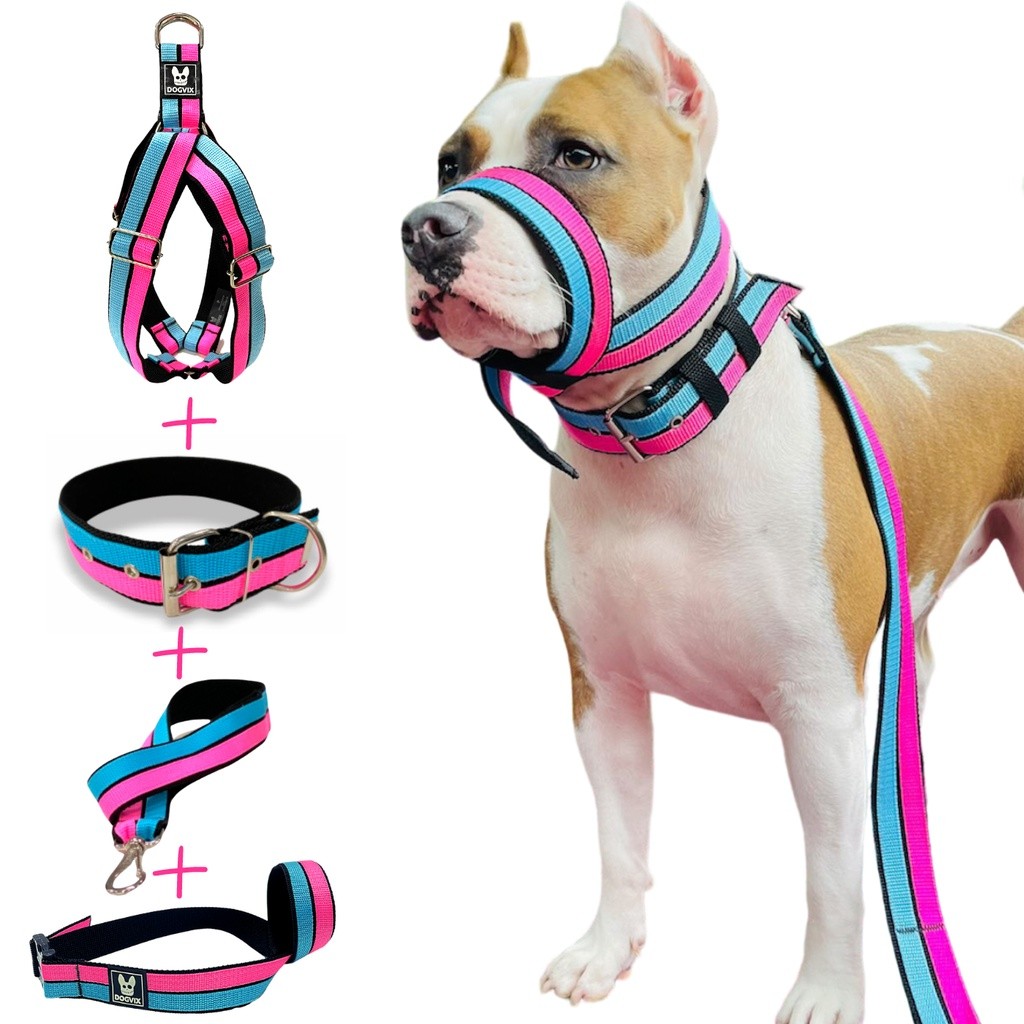 Lindo Kit Para Cachorro Médio e Grande Porte ( Coleira + Focinheira + Guia + Peitoral)