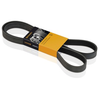 Correia Alternador Poly V Agile Montana 1.4 8v Continental em Oferta na Shopee