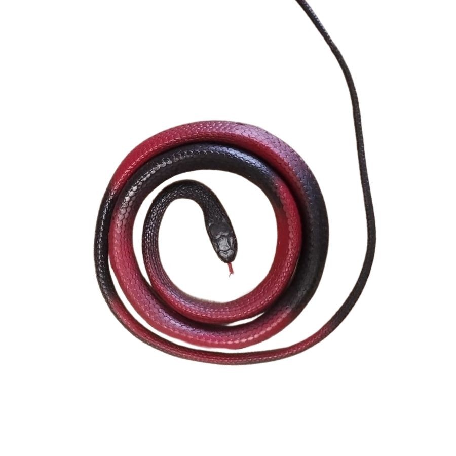 Cobra de Plástico - Vermelho/Preto - 97cm - 1 unidade - Rizzo em Oferta na Shopee