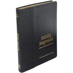 Bíblia Sagrada Slim | Naa | Letra Grande | Couro Legítimo
