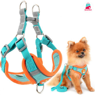 Coleira Peitoral Confortável e Guia para Pets – Ideal para Raças Pequenas e Médias em Oferta na Shopee