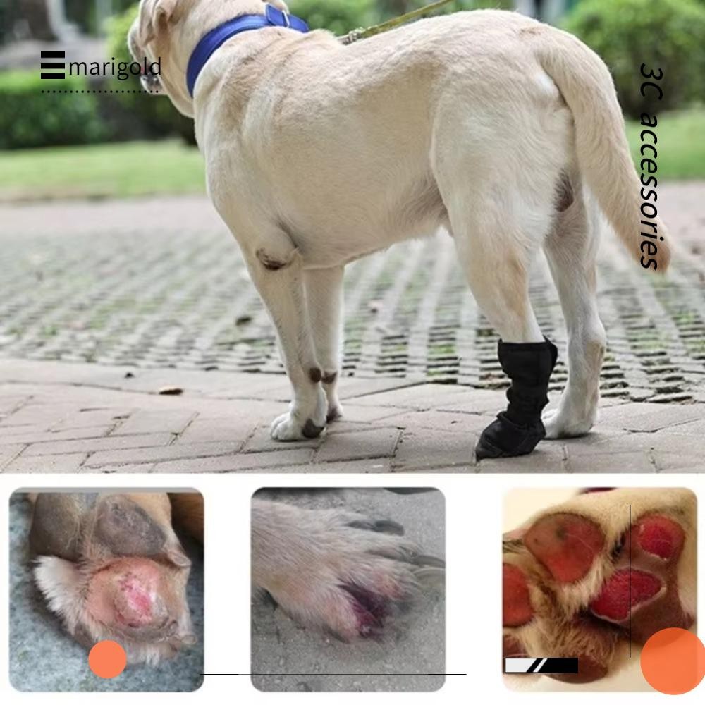 Protetor De Patas De Cachorro MARIGOLD , Bota De Proteção Anti-Lamber À Prova D'água Para Cães , Suprimentos Animais De em Oferta na Shopee