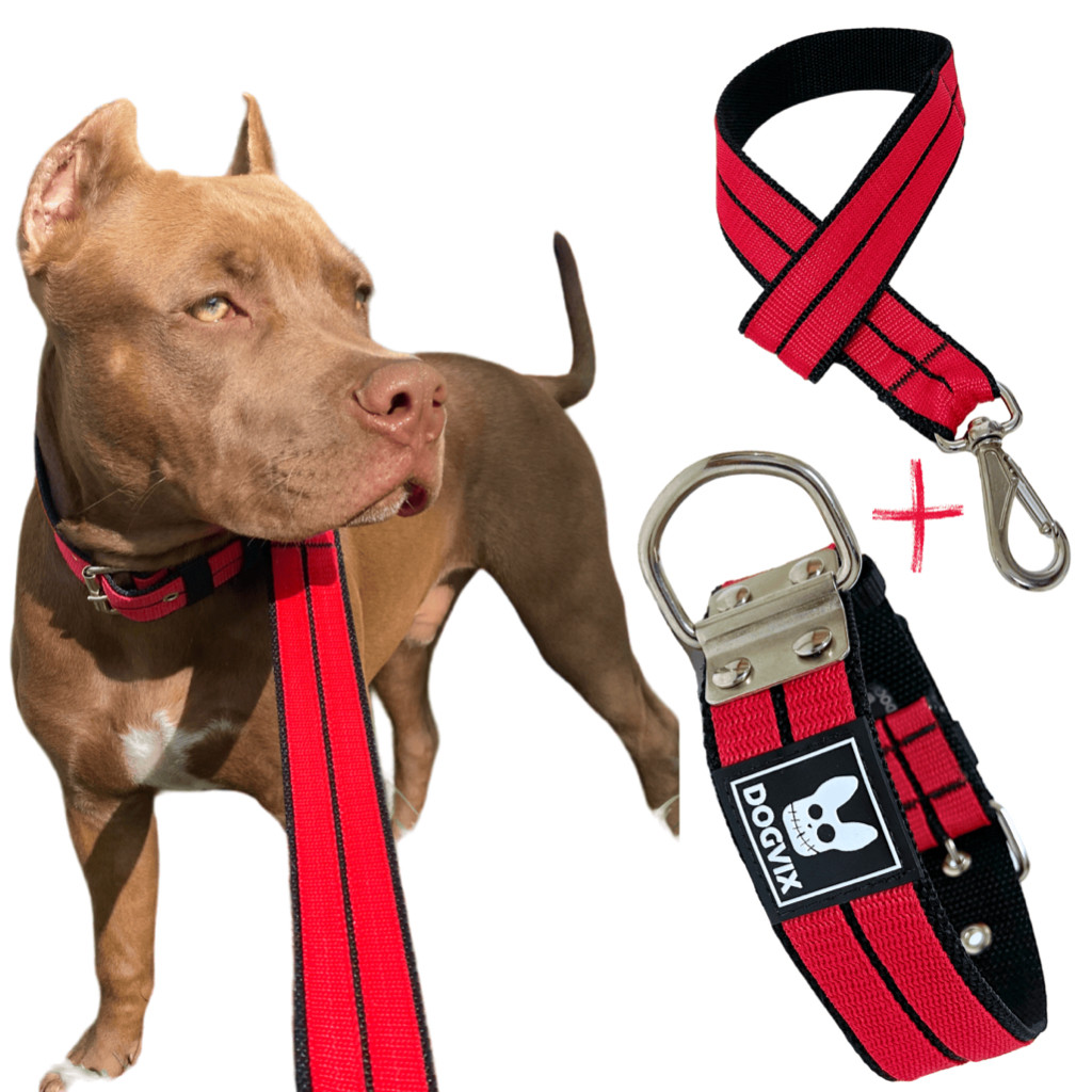 Coleira + Guia Forte Luxo Para Cachorros Pitbull Colar Grande Porte Brutus Pet