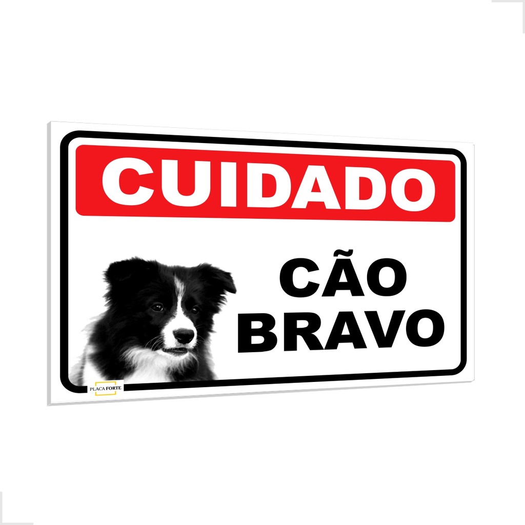 Border Collie e Bravo: Onde Comprar | BuscaProdutos