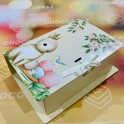 10 CAIXA LIVRO 2X50G ENCANTADA IDEIA PASCOA OUTLET