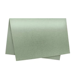 Papel Colméia - 50x50cm - Salvia - 10 unidades - Cromus - Rizzo