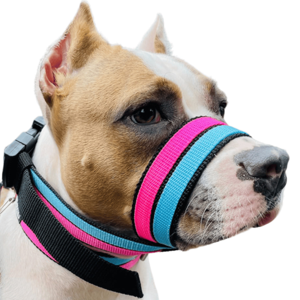 Focinheira Macia Anti-Mordida Respirável Para Passeio Cachorro Médio Grande Porte Pitbull
