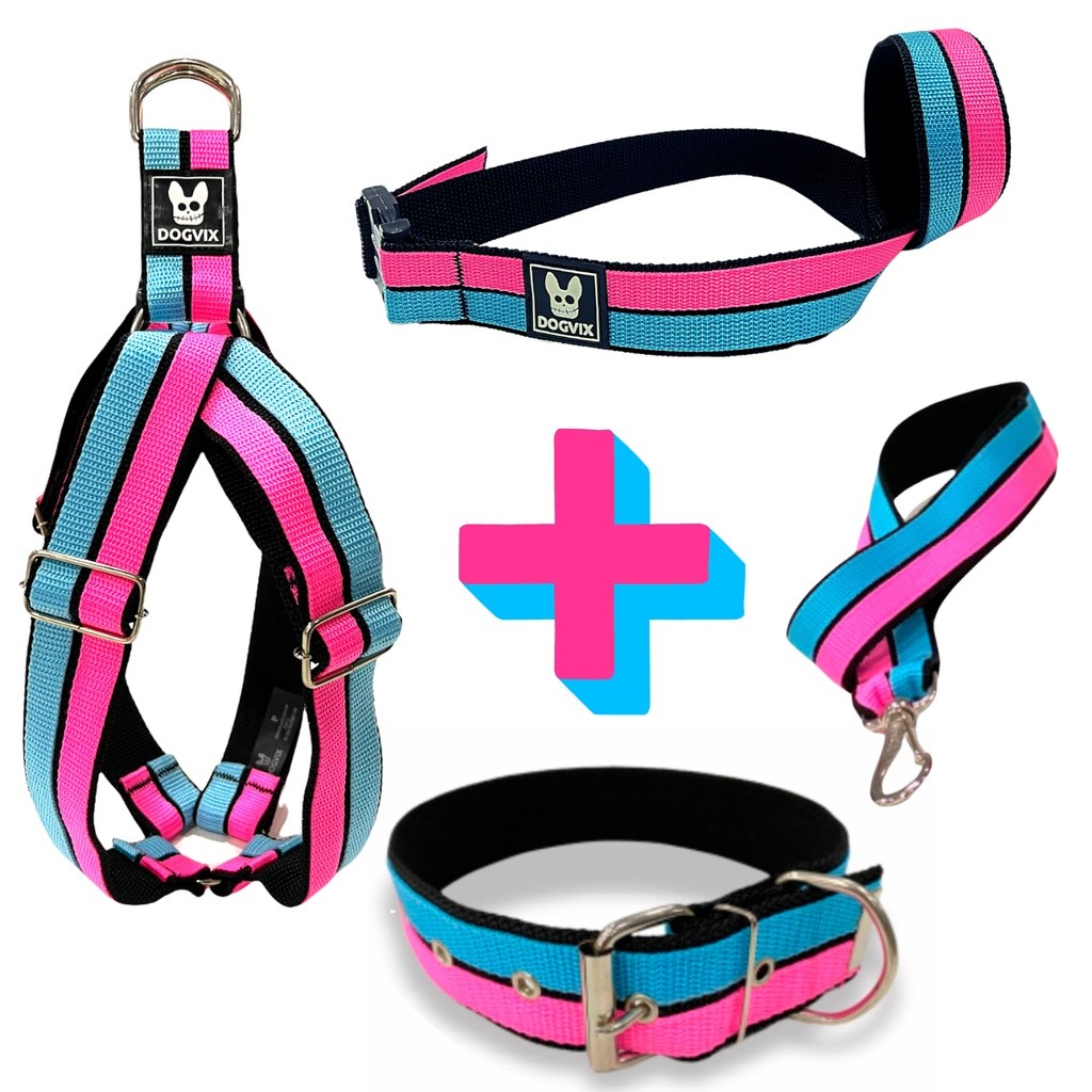 Conjunto Coleira + Peitoral + Guia + Focinheira Para Cão Cachorro Pet Dog Pitbull