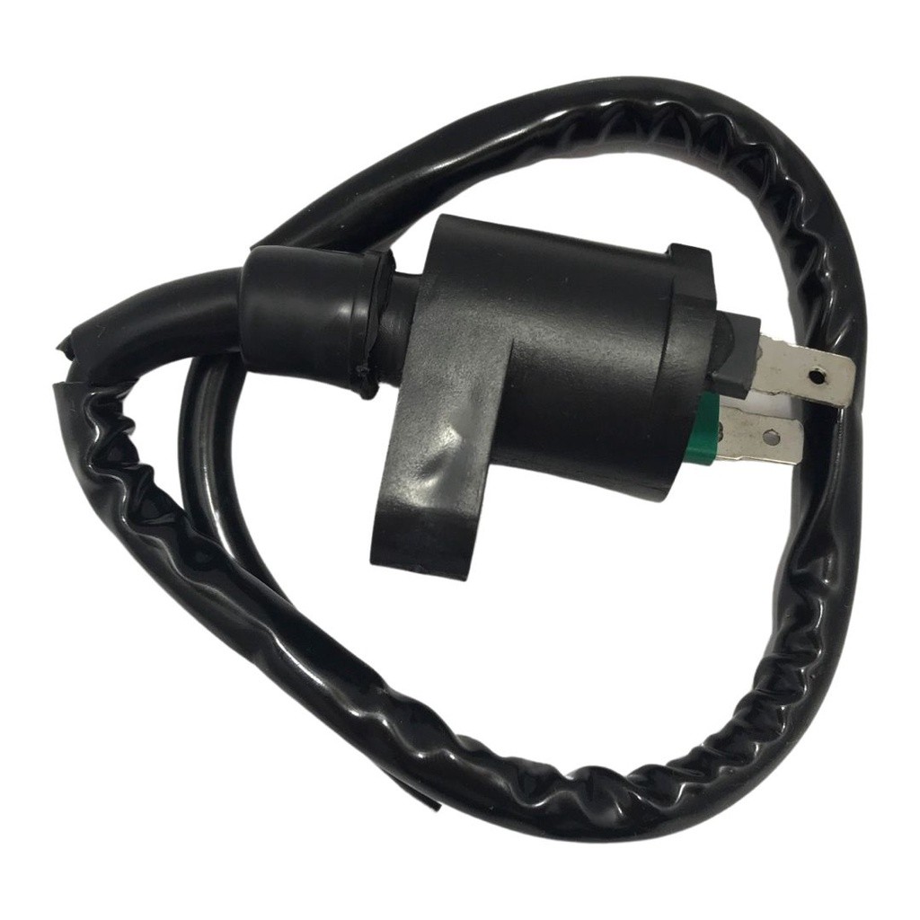 Bobina Faisca Titan 99: Onde Comprar | BuscaProdutos