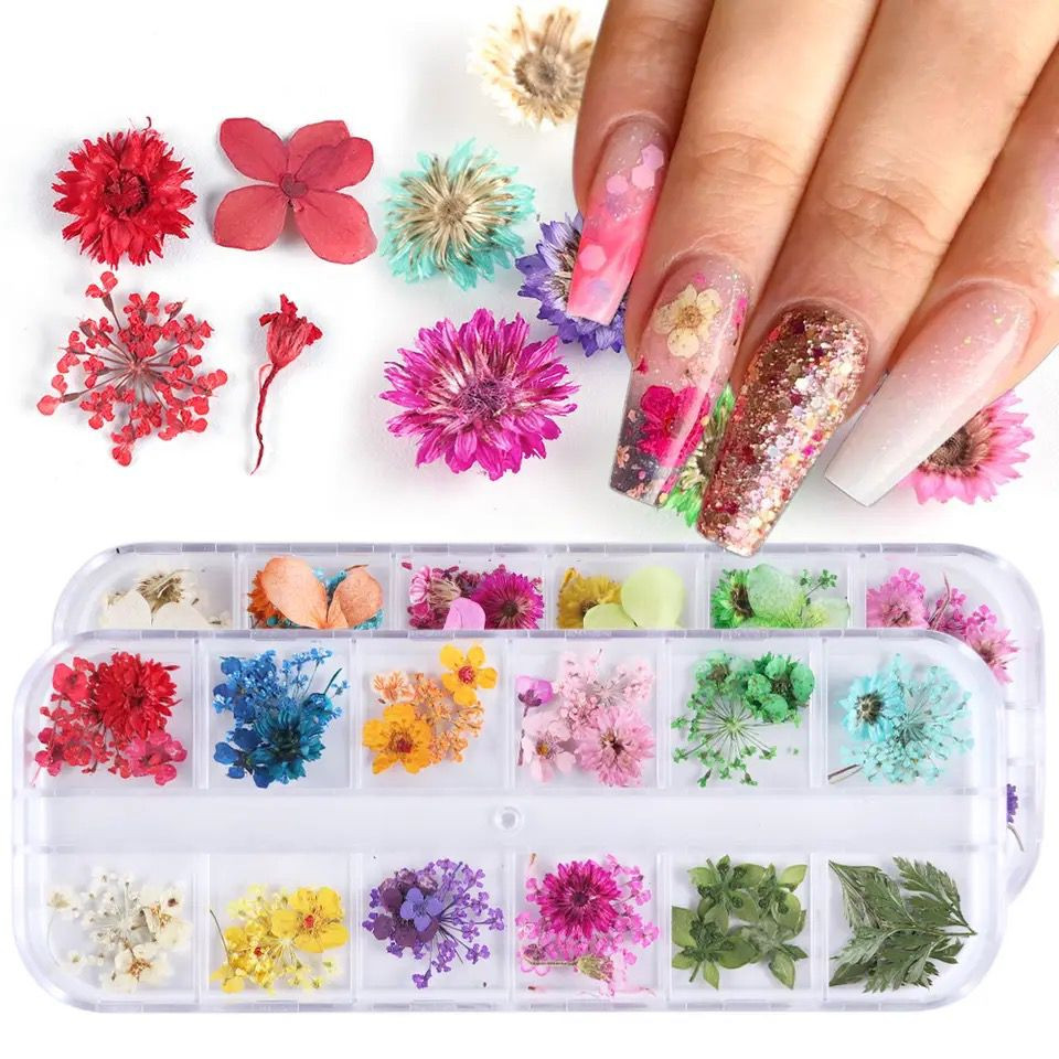 Flores Secas Encapsulamento Decoração Unhas Artes