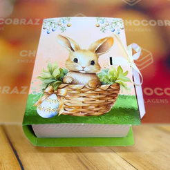 05 CAIXAS DEGUSTACAO LIVRO 2 X 50G - COELHINHO ENCANTADO 5409 (PASCOA IDEIA OUTLET)
