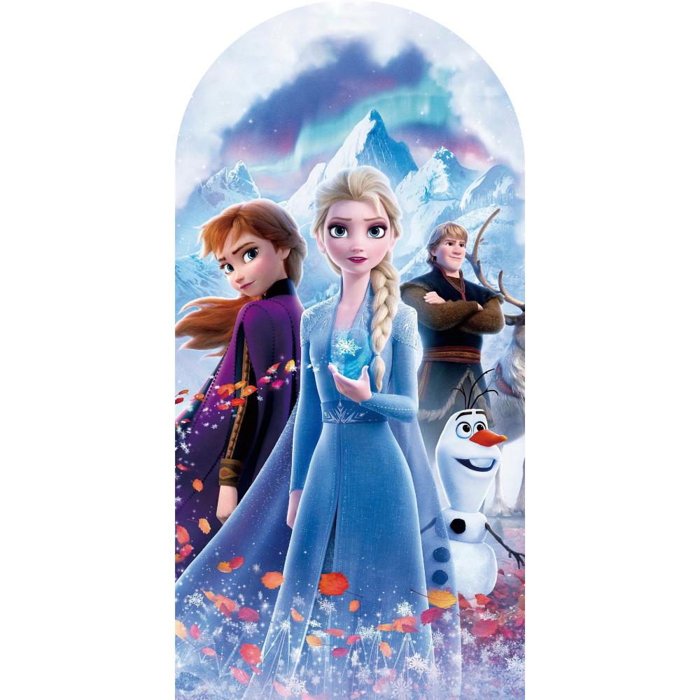 Painel De Festa Frozen Vertical Romano Em Teccido Sublimado