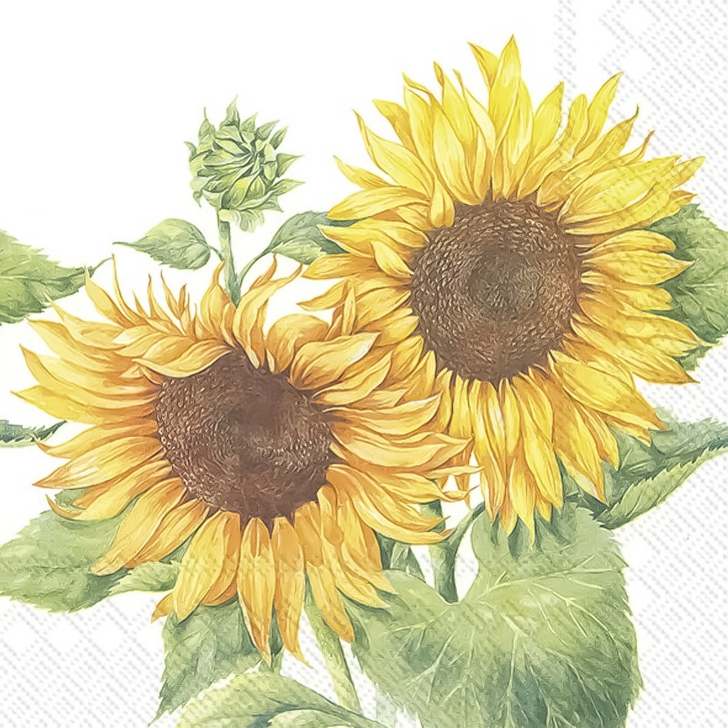 Guardanapo para Decoupage Ihr 33x33 Girassol Amarelo C/ 2 Unidades em Oferta na Shopee