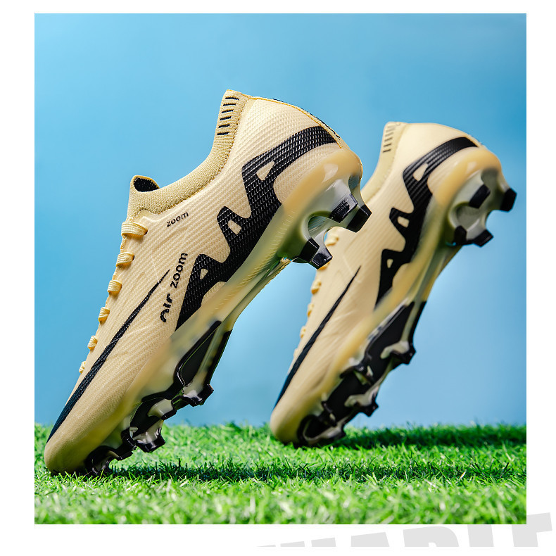 Provas de Campos: Onde Comprar | BuscaProdutos