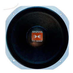 ALTO FALANTE SNAKE 10 POL ESX 810-S 450W 8 OHMS