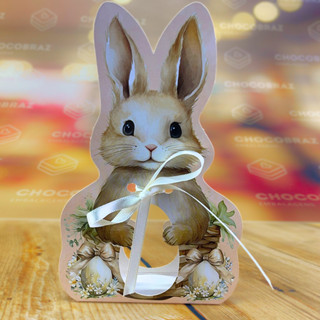 40 CINTA P/OVO 50G - 9X3X17,5 CM - COELHINHO ENCANTADO 5424 (PÁSCOA IDEIA 2025) em Oferta na Shopee