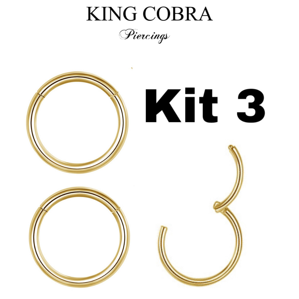Kit 3 Piercing Argola Segmento Articulado Aço cirúrgico Nariz/helix KA205 em Oferta na Shopee
