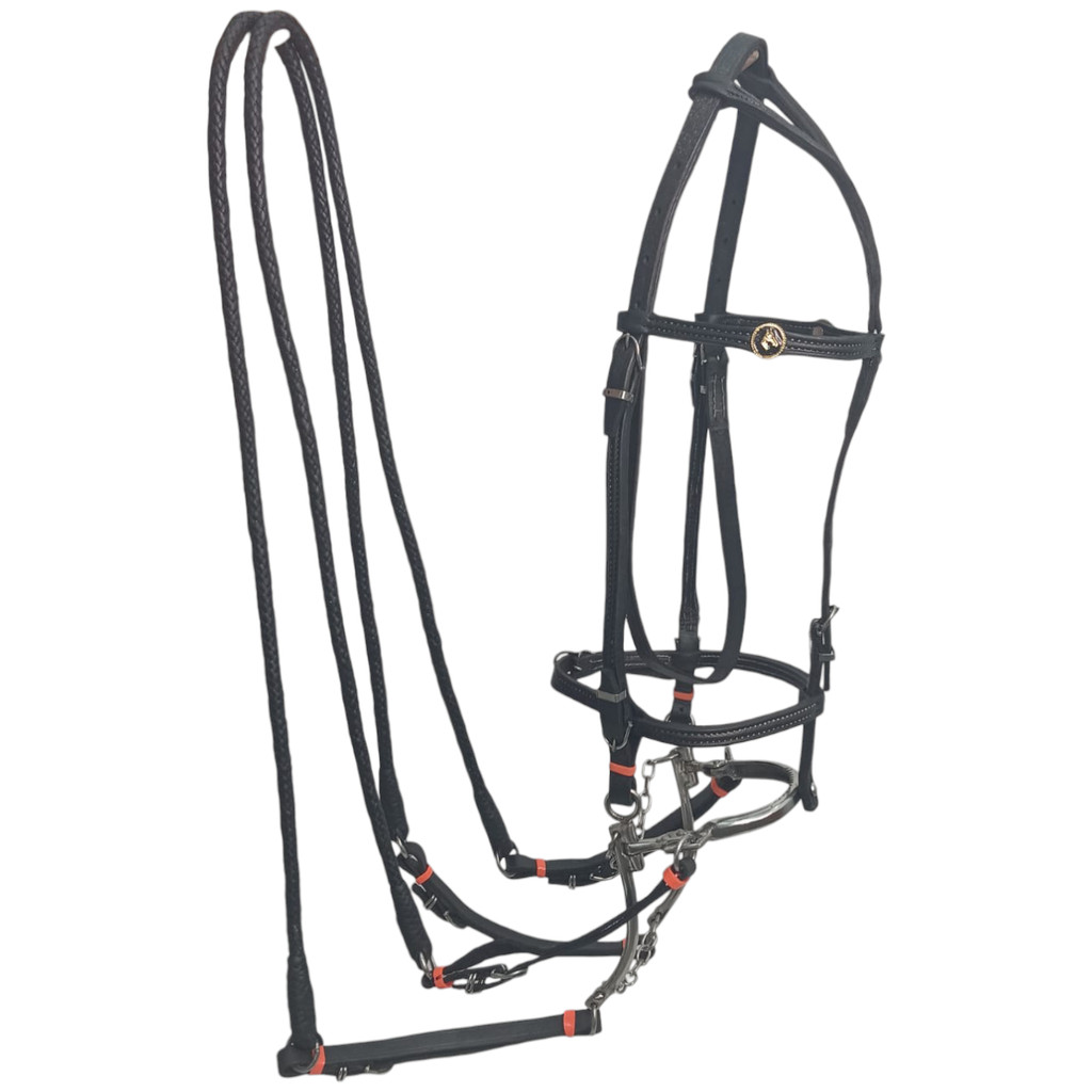 Cabeçada Vaquejada Para Cavalo Profissional Fivela Cavalo Couro Legitimo