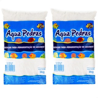 2Kg Areia Duna Quartzo N00 Aquário Lago Banho a Seco Roedores Hamster em Oferta na Shopee