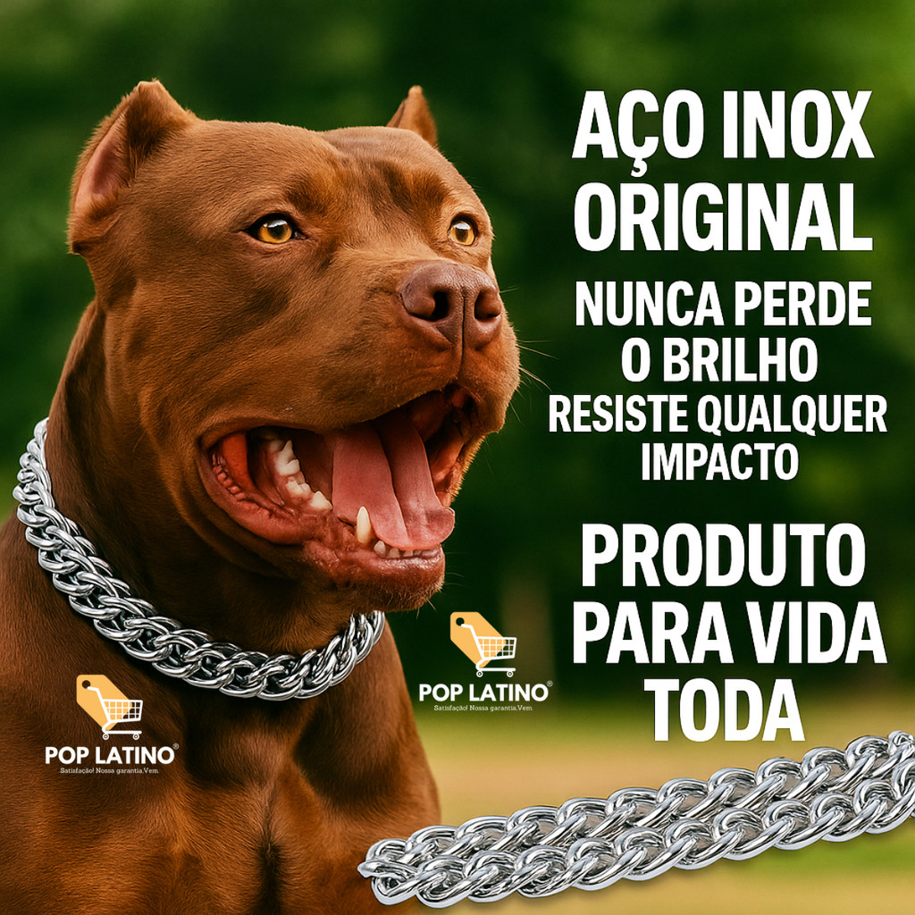Enforcador Corrente Coleira Cães Grandes, Pequenos e Médios Adestramento Profissional Aço Inox Puro Original - Cachorro