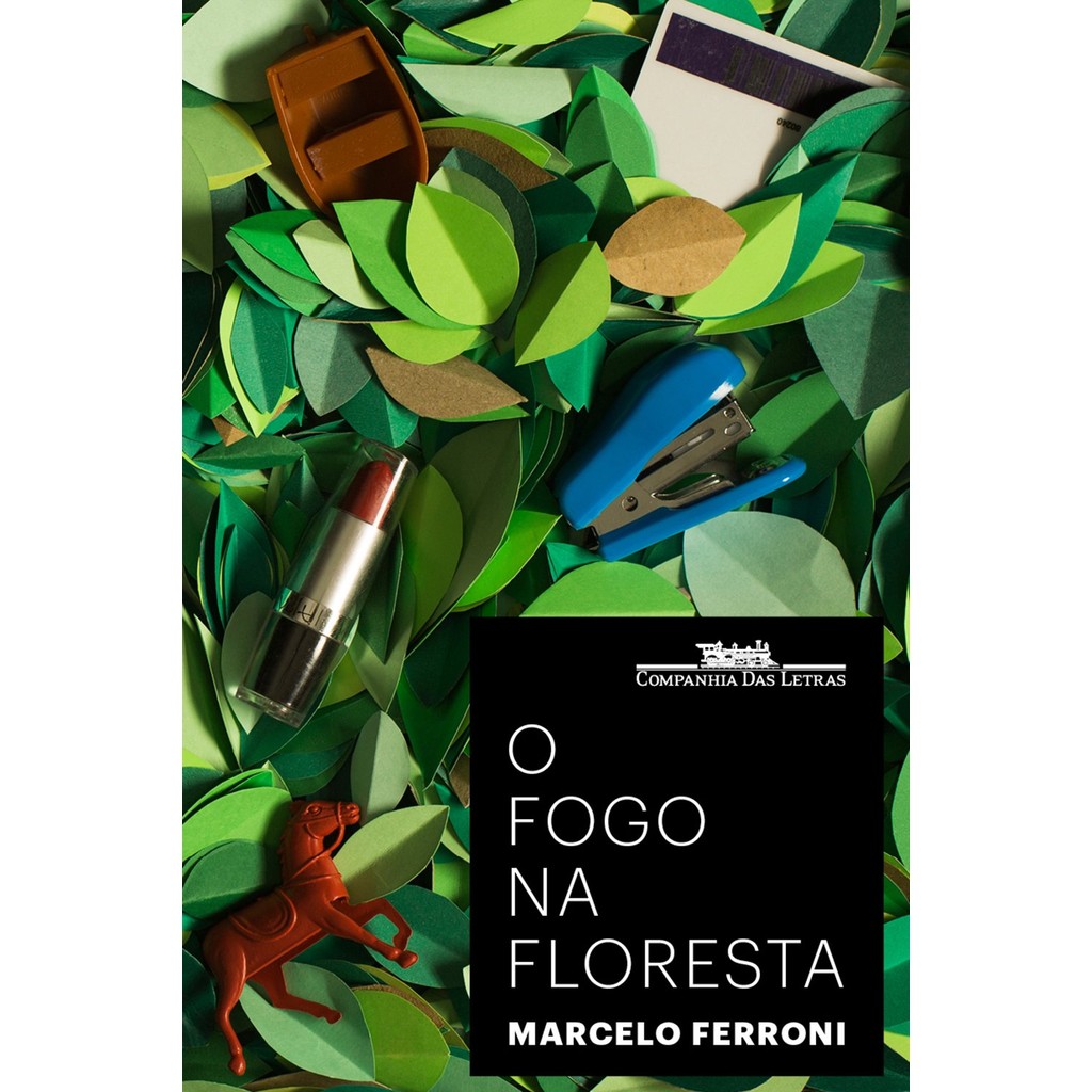 Livro O fogo na floresta | Marcelo Ferroni - Seminovo