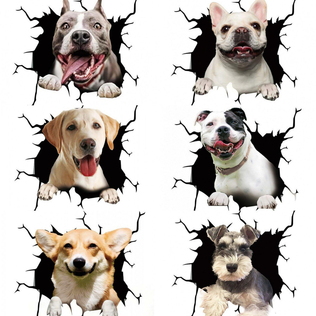 Logo Pitbull na Black Friday 2025 | BuscaProdutos