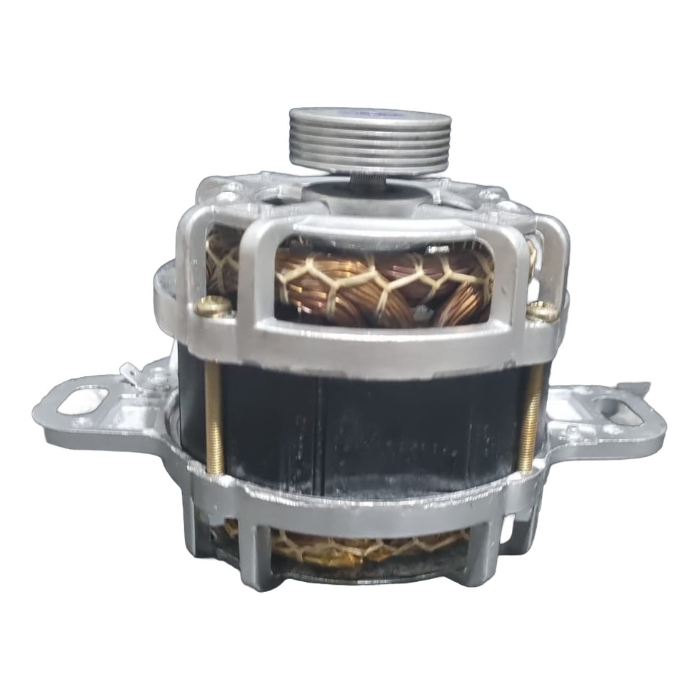 Motor Lavadora Electrolux Lt12 Polia 4.5 110V (Recondicionado)