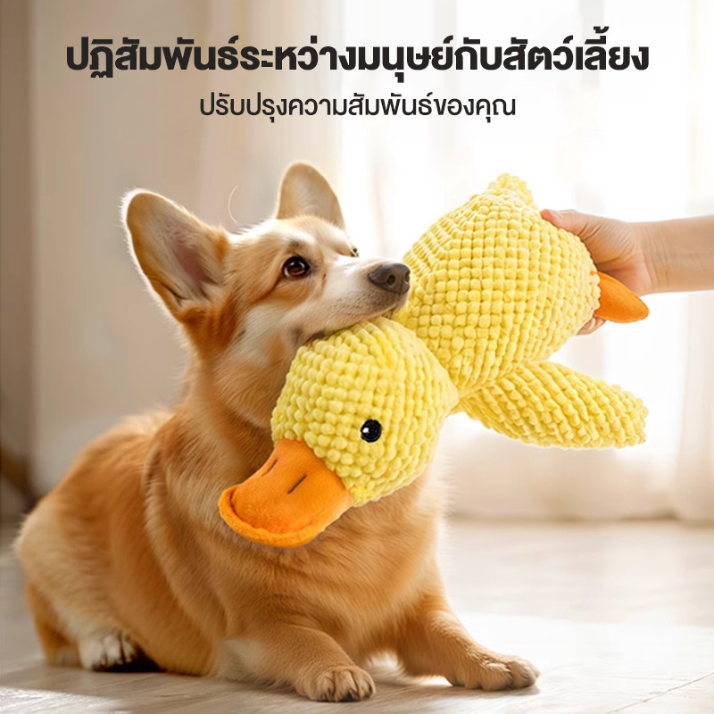 ตุ๊กตาบีบๆนุ่มนิ่มมีเสียงมีเสียง ของเล่นแมว ของเล่นสุนัขขนาดใหญ่ อุปกรณ์เสริม สําหรับฝึกสุนัขขนาดเล็ก ตุ๊กตากัดเล่นสุนัข - ภาพที่ 6