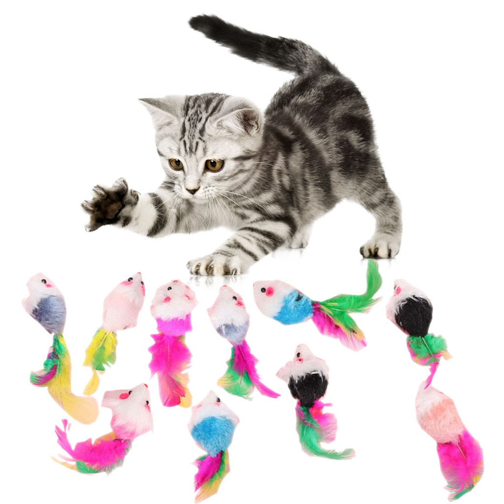 10 Pçs Mix Ratos Pena Gato Brinquedo , Resistência À Mordida Simulação De Pelúcia Mouse , Para Animais De Estimação Gati em Oferta na Shopee