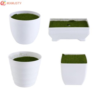 MXMUSTY Vaso De Plástico Engrossado Decoração De Jardim Festa De Casamento Varanda Bonsai Ornamento em Oferta na Shopee
