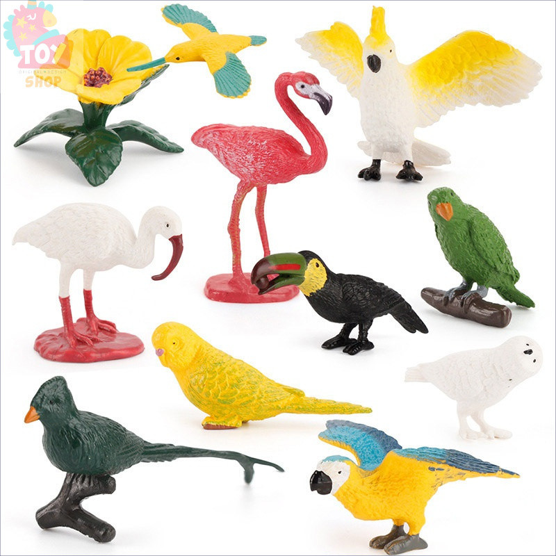 Brinquedos Infantis Conjunto de 10 Peças de Modelos Realistas de Animais Pássaros Papagaio Flamingo Tucano Beija-flor Mi
