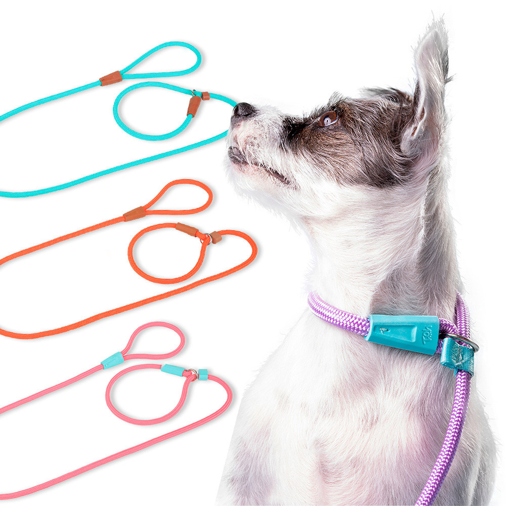 Guia Unificada 1,10m Cachorro Cabo Nautico 8mm Adestramento Várias Cores Toh Cães Enforcador Pet